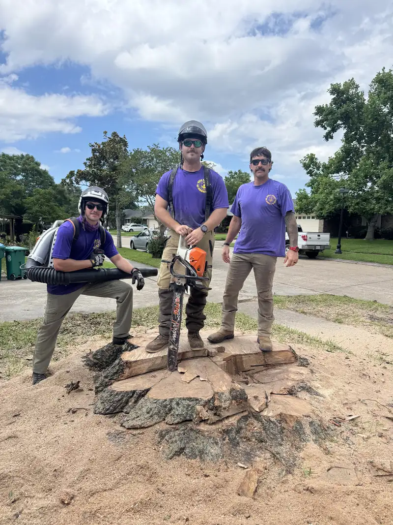 The Hook & Ladder Tree Service crew standing on a large stump after a removal